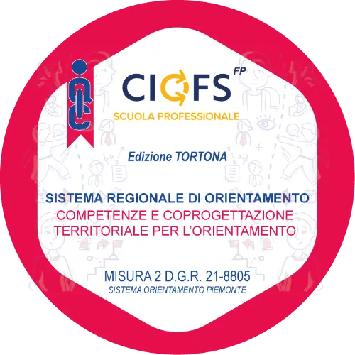 Badge pubblico 17704